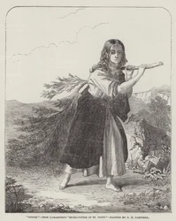 Denise